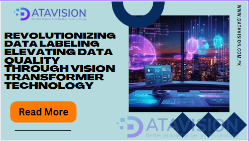 Revolutionizing Data Labeling; Elevating Data Quality through Vision Transformer Technology
